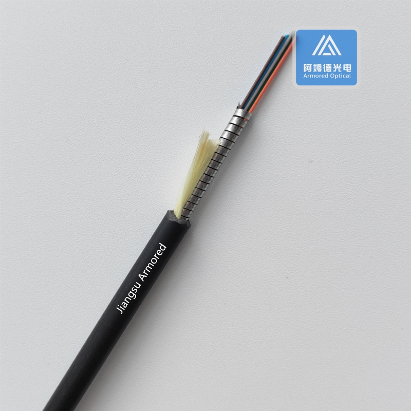 4 Core Armoured Fiber Optic Cable SM CPRI 5.0mm LSZH FTTA Armored Patch Cord