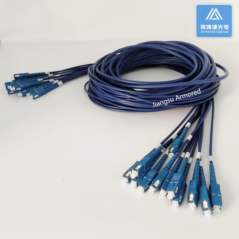 12 Cores Stainless Steel Armored Patch Cord SC-SC-30m Blue PVC 5.0mm Rodent Resistant