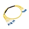 Simplex 6 Core Fiber Optic Patch Cord طول 1m 2m 3m انخفاض فقدان الإدراج